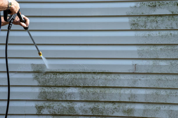 Best Basement Cleanout  in Sibley, LA