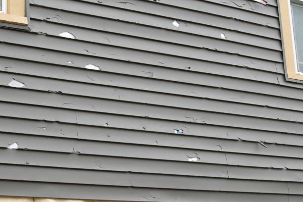 Best Same-Day Junk Removal Services  in Sibley, LA